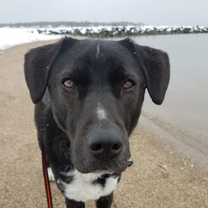 Fundraising Page: Katherine Tanner